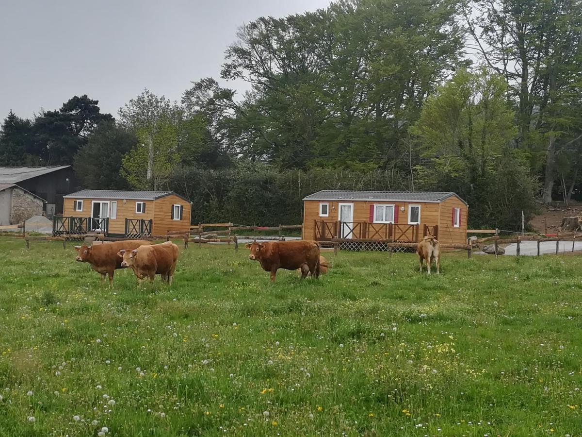 Les Chalets De Bes "Le Campagnard " Lacombe Eksteriør billede